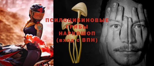 mix Белокуриха