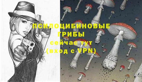 COCAINE Бородино
