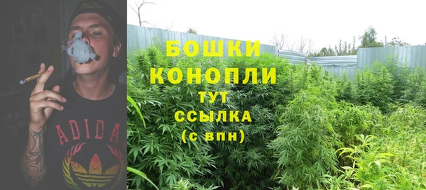mix Белокуриха